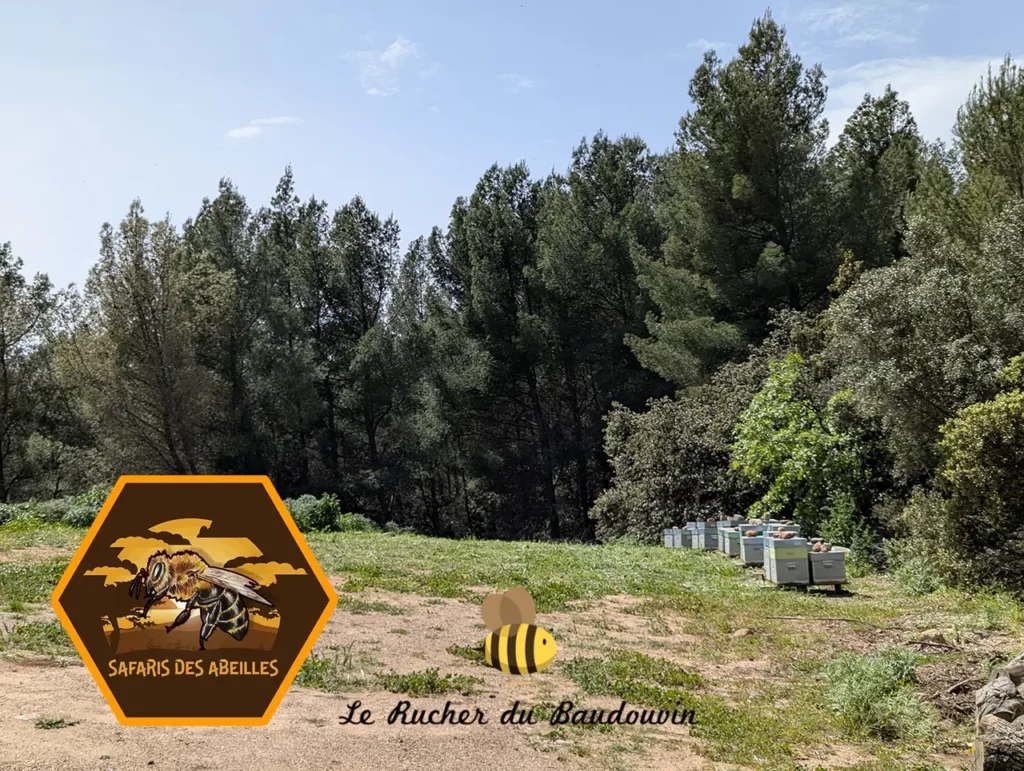Le rucher du Baudouvin
