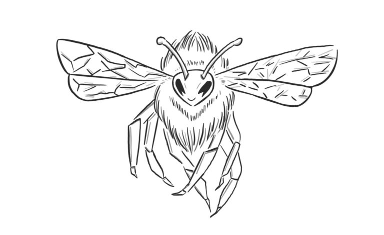 logo chaux bees