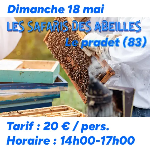 Visite de rucher au Pradet le dimanche 18 mai 2025