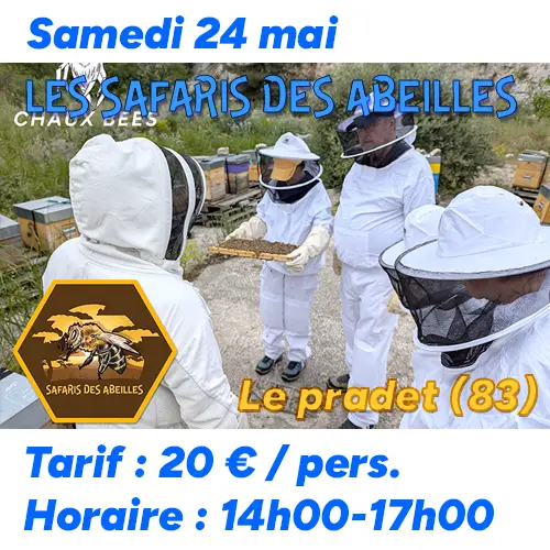 Visite de rucher au Pradet le samedi 24 mai 2025