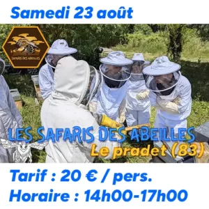 Safari des abeilles samedi 23 août