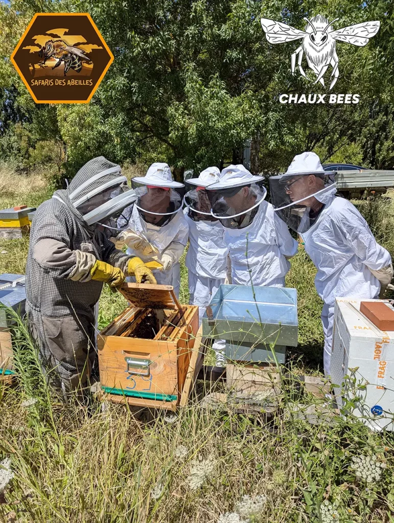 Ouverture d'une ruche lors d'un safari des abeilles