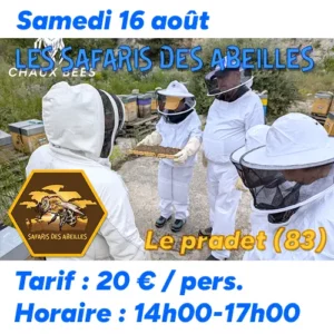 Safari des abeilles samedi 16 août
