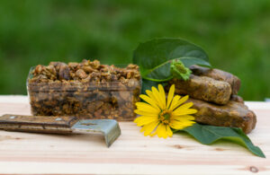 Propolis brune de peuplier