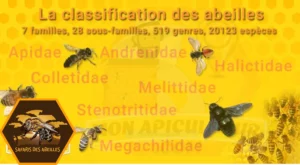 Les familles d'abeilles