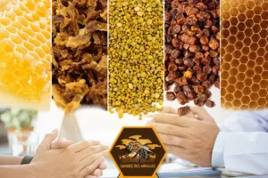 Produits de la ruche et conseils en apithérapie
