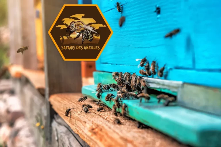 entreeRuche safaris des abeilles 238726280