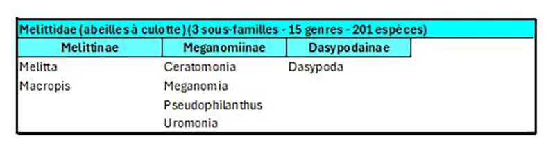 Tableau des familles d'abeilles Melittidae