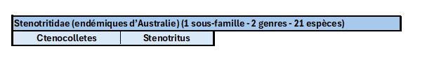 Tableau des familles d'abeilles stenotritidae