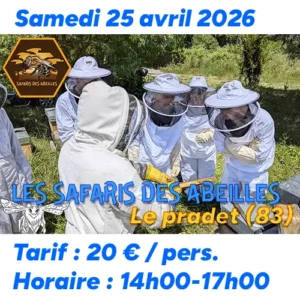 Safaris des abeilles - Public en tenue d'apiculteur
