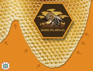 Bordure de cellules d'abeille