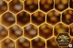 Cellules de cire d'abeille déformées