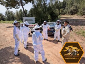 Apiculteurs en herbe recevant les consignes lors d'un safari des abeilles