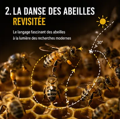 Des abeilles sur des alvéoles