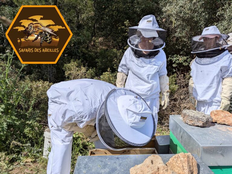 Apiculteurs en herbe respirant l'ai d'une ruche lors d'un safari des abeilles