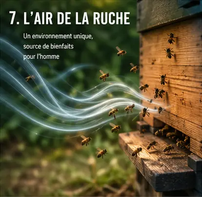Une ruche avec des abeilles
