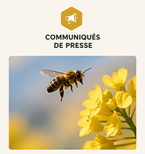 communique presse