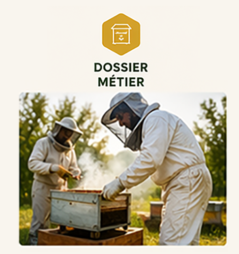 dossier metier 1