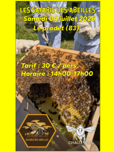 Apiculteur lors d'un safari des abeilles - Date samedi 04 juillet