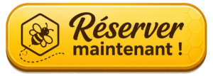 bouton reserver maintenant copie