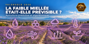Champs de lavande avec logotype sur l'apiculture prédictive