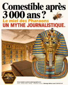 Masque de Toutânkhamon, sa sépulture